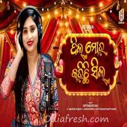 Dil Mora Karichi Seel